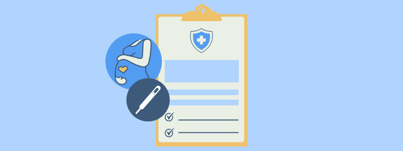 Illustration of a medical clipboard with a shield icon, a pregnancy silhouette, a thermometer, and check marks, symbolizing pregnancy travel insurance.